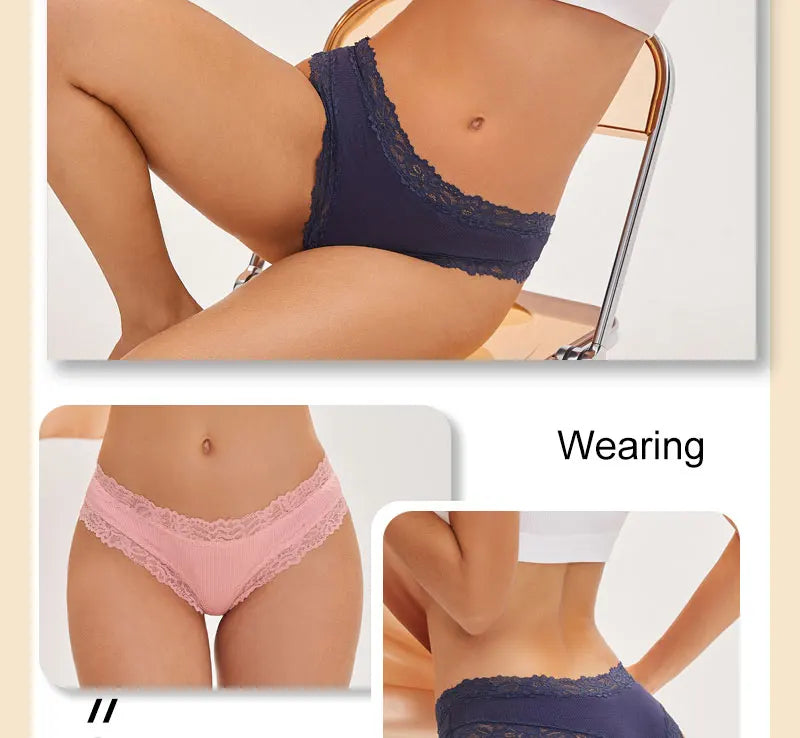 5-Pack Lace Seamless Cotton Panties – Ribbed Brazilian Style | S–XL Style Heaven