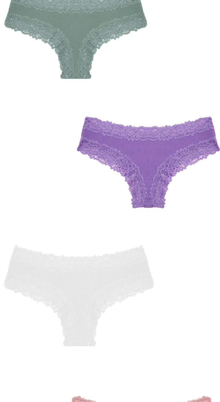 3PCS Women's Lace Seamless Cotton Panties – Ribbed Brazilian Low Waist Underwear, Breathable & Plus Size Lingerie Style Heaven