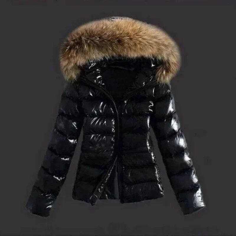 Outerwear by Style Heaven | High-Quality & Trendy Fashion
