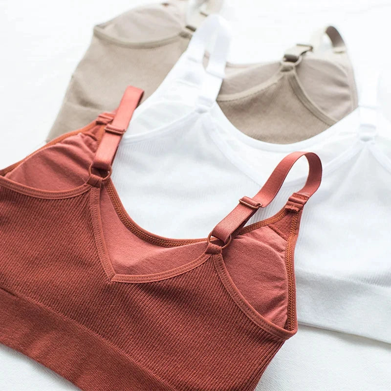 Sexy Wireless Tube Top Bra – Strapless, Push-Up, No Steel Ring Lingerie for Women Style Heaven
